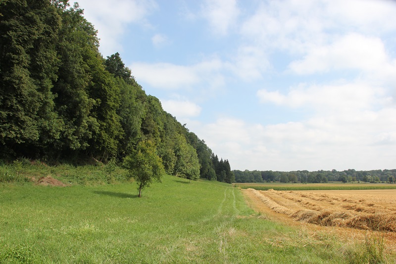 Berghang Altenberg Dietenheim