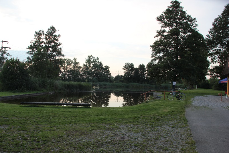 Freibad Ebenweiler: Zelten & Niedermoor