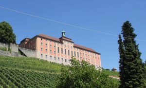 Neues Schloss Meersburg vom Bodensee aus