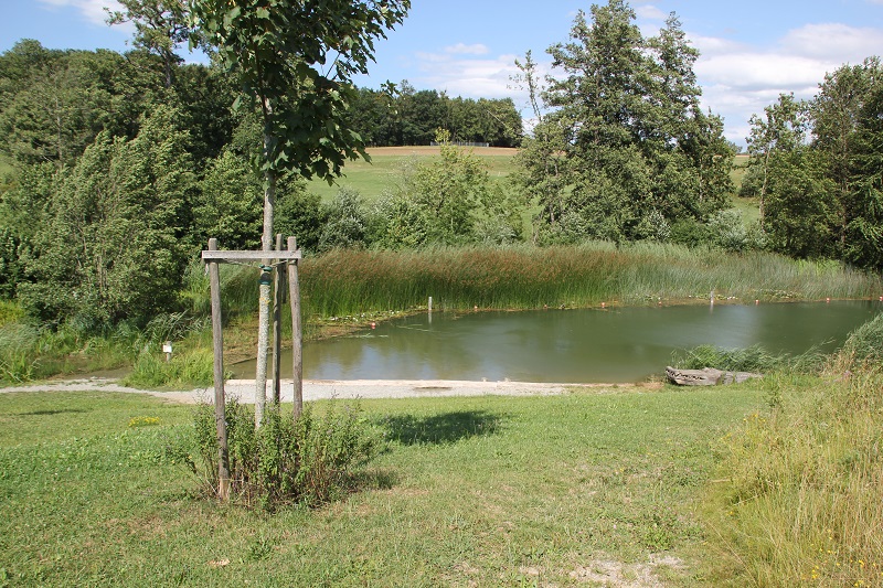 Holzmühle-Weiher – Freibad in Ebersbach-Musbach