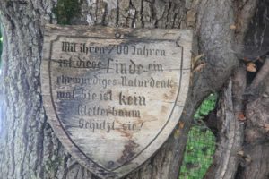 Denkmalshinweis Sommerlinde Reichenau