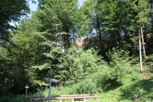 Weg zum Schloss