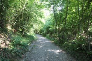 Weg zum Schloss Achberg