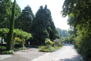Rundweg Insel Mainau