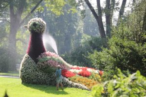 Taube Blumenfigur Insel Mainau