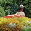 Blumeninsel Mainau Taubenfigur aus Blumen Insel Mainau