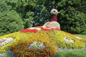 Taubenfigur aus Blumen Insel Mainau