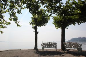 Ufer Insel Mainau