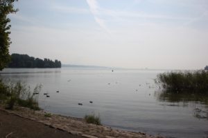 Uferblick Insel Mainau