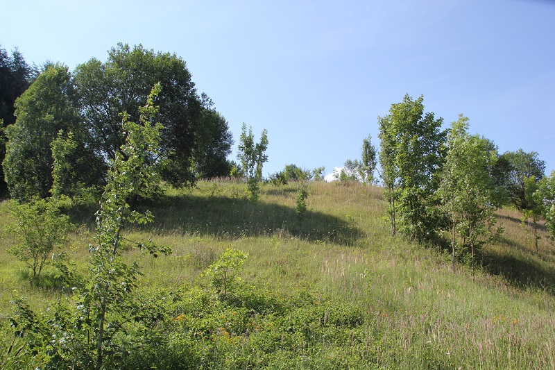 Burgstall Bittelschieß bei Krauchenwies