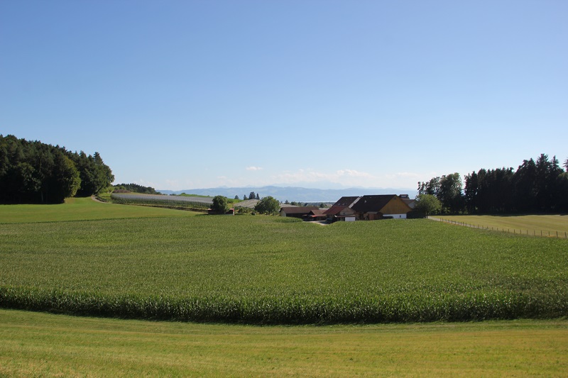 Römisches Bad bei Betznau (Kressbronn)