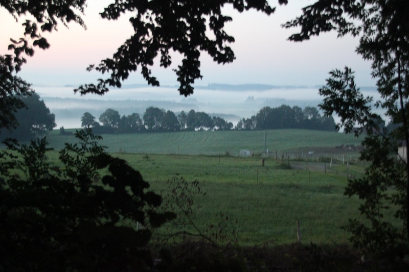 Nebel im Allgaeu Kisslegg