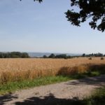 blick-vom-stuhl-blitzenreuter-seenplatte