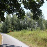 weg-durch-wollmatinger-ried
