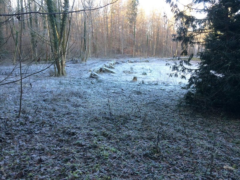 Ehemaliges Waldbad Baienfurt