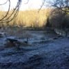 Waldbad bei Baienfurt Waldbad Baienfurt Areal