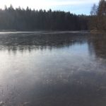Hagenbacher Weiher