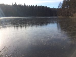 Hagenbacher Weiher