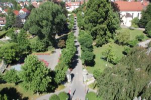Blick auf Schlosspark Langenargen