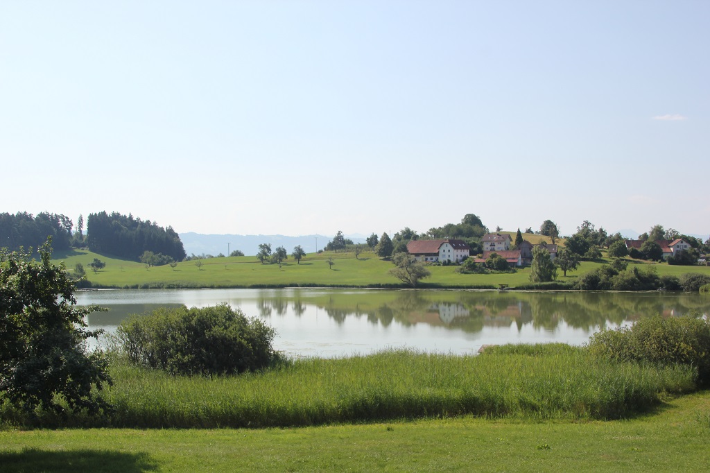 Naturschutzgebiet Kreuzweiher-Langensee | Wilpoltsweiler – Neukirch