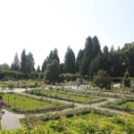 Italienischer Rosengarten Insel Mainau