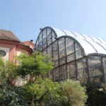 Palmenhaus Insel Mainau