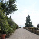 Schloss Terrasse Insel Mainau