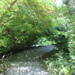 Verschlungene Wege Insel Mainau