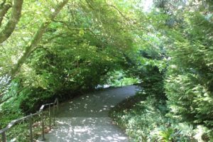 Verschlungene Wege Insel Mainau