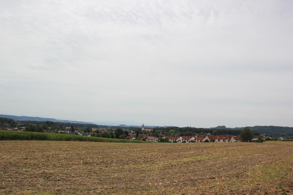 Blick auf Mochenwangen