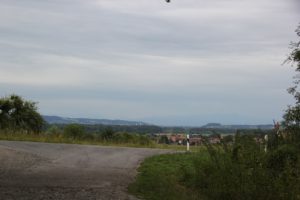 Einfahrt zum Wald