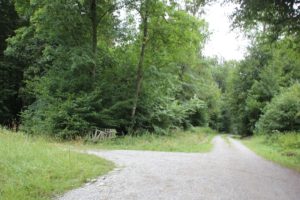 Waldwege zum Erwandern Mochenwangen