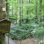 Bannwald Schild Tobel