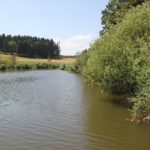 Blick vom Steg Lausheimer Weiher