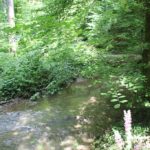 Buttenmuehlebach Schmalegger und Rinkenburger Tobel
