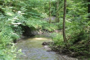 Buttenmuehlebach Verlauf Schmalegger und Rinkenburger Tobel