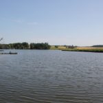 Lausheimer Weiher vom Steg