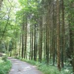 Schmalegger und Rinkenburger Tobel