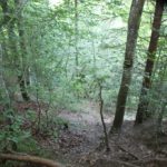 Tobel Abfall Schmalegger und Rinkenburger Tobel