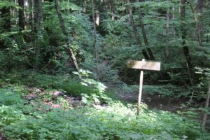 Waldschutzgebiet Glastobel