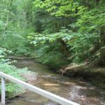 Wanderbruecke im Schmalegger und Rinkenburger Tobel