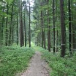 Wanderpfad Schmalegger und Rinkenburger Tobel