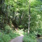 Weg neben Bach Schmalegger und Rinkenburger Tobel