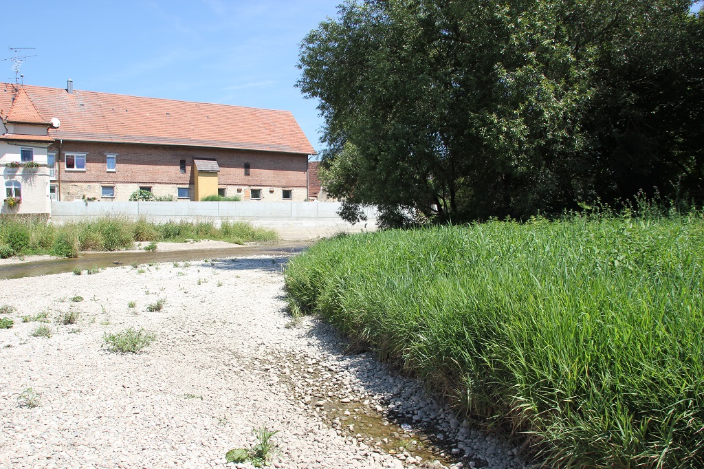 Schotterufer Donauinsel Riedlingen