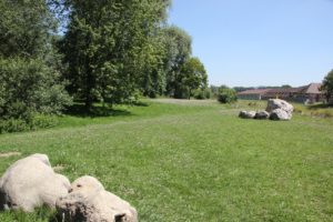 Wiese Donauinsel Riedlingen