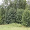 Burgstall & Geschichte von Mochenwangen Burgstall Mochenwangen