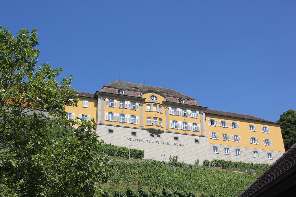 Meersburger Weinkundeweg am Bodensee