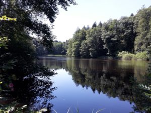 Langmoosweiher Altdorfer Wald