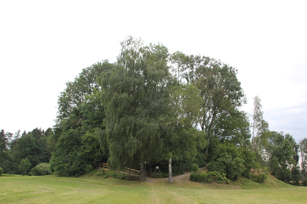 Berg Burgstall Burgrieden