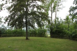 Burgstall Burgrieden